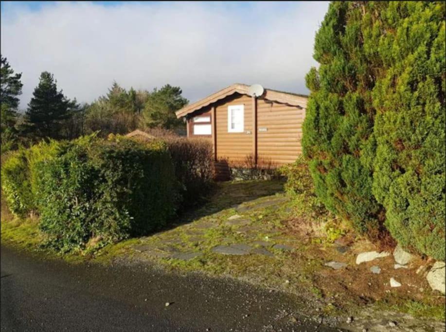 Gwel-Y-Cwm - Valley View Trawsfynydd Exterior photo